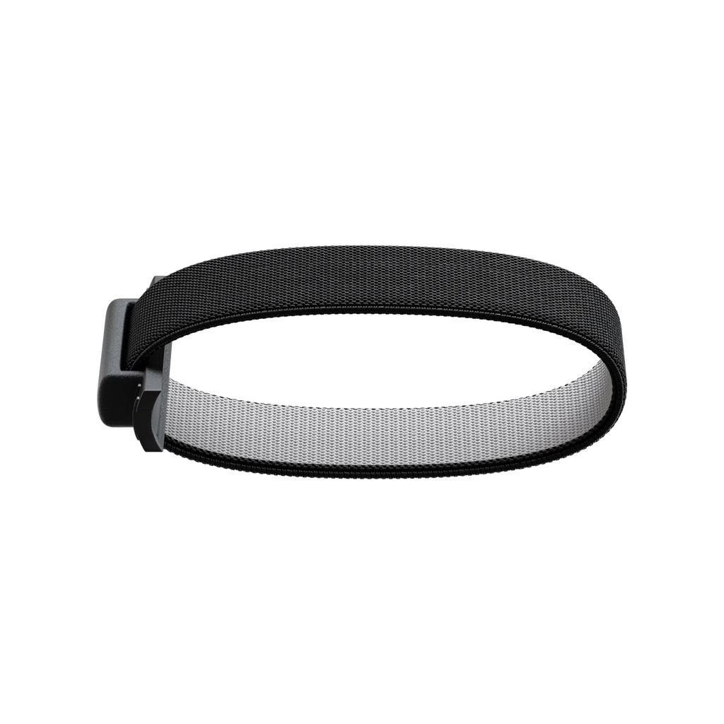 SECRID - Bandwallet Band