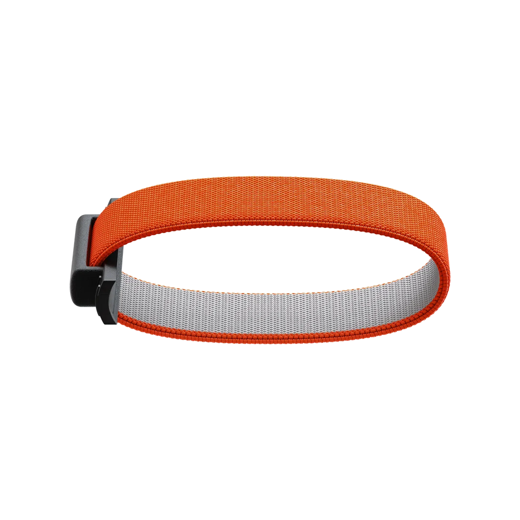 SECRID - Bandwallet Band