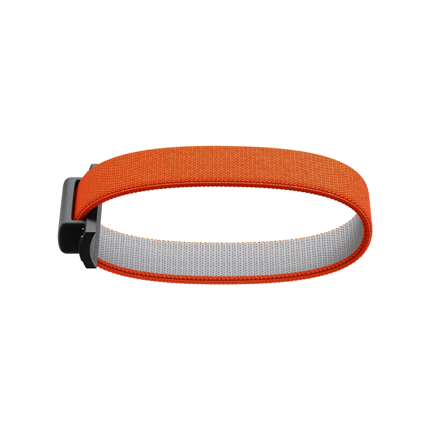 SECRID - Bandwallet Band