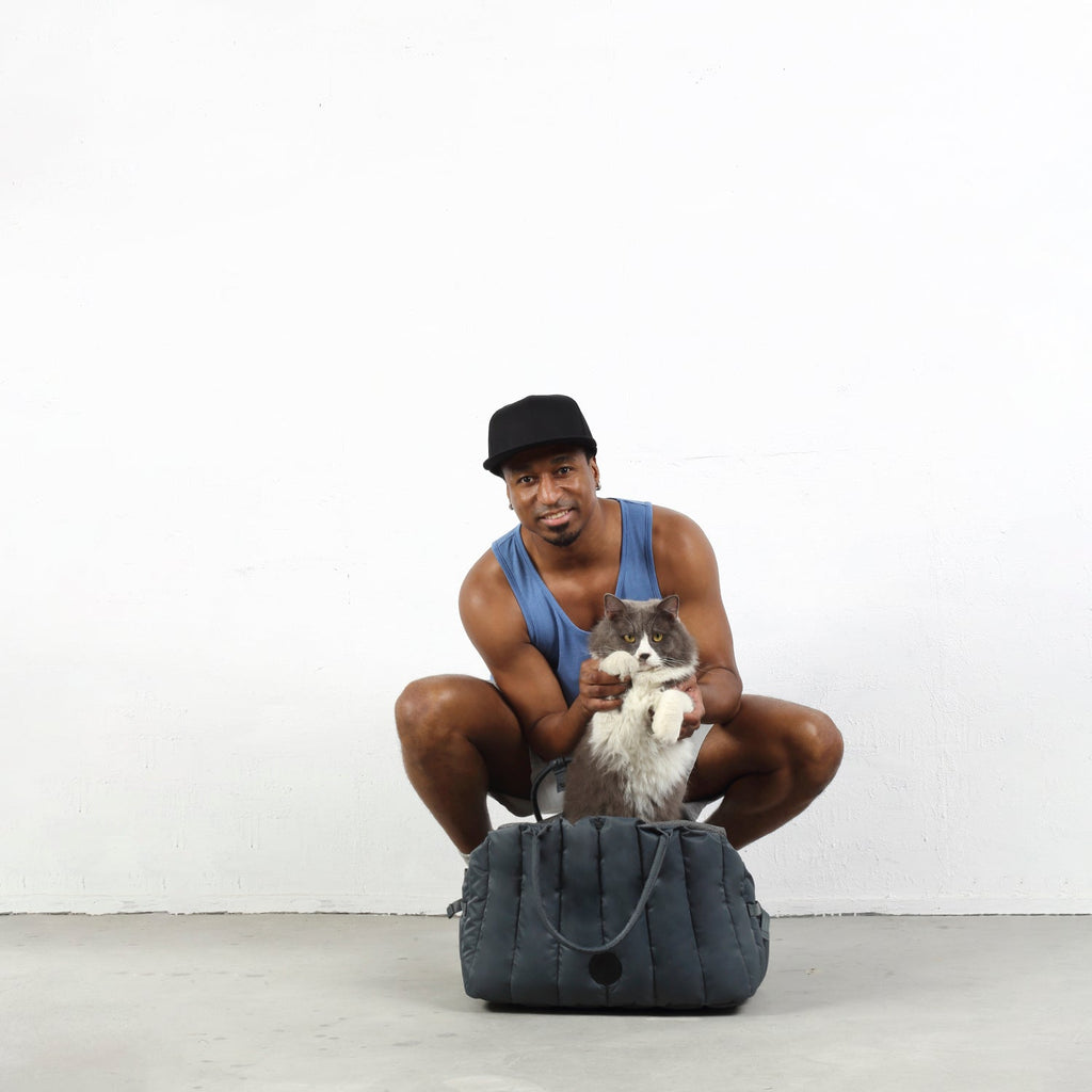 Chapel Sudoku Pet Carrier